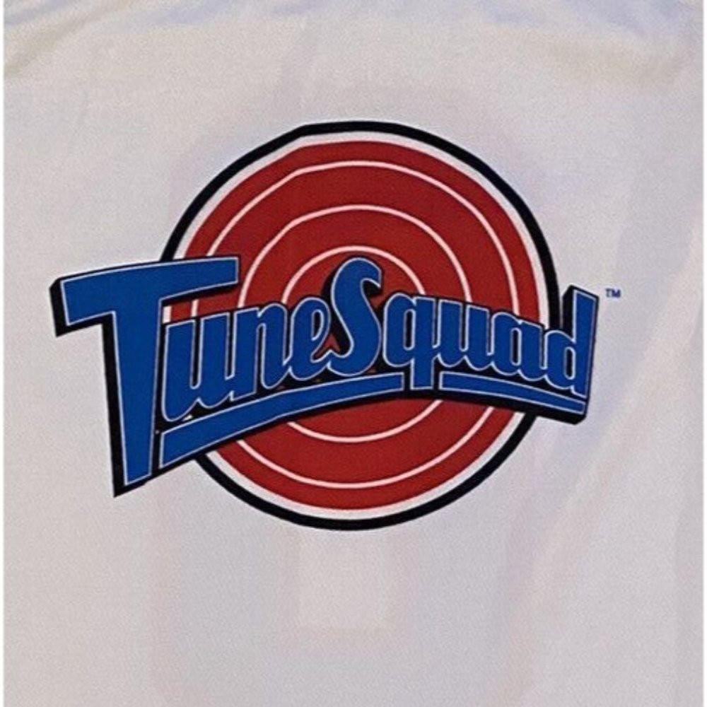 Vintage Warner Bros Space Jam Tune squad Jersey #0 size large